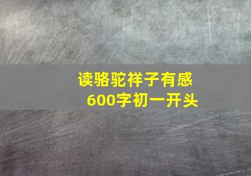 读骆驼祥子有感600字初一开头