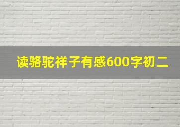 读骆驼祥子有感600字初二