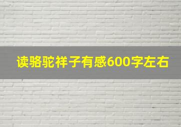 读骆驼祥子有感600字左右