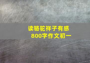 读骆驼祥子有感800字作文初一