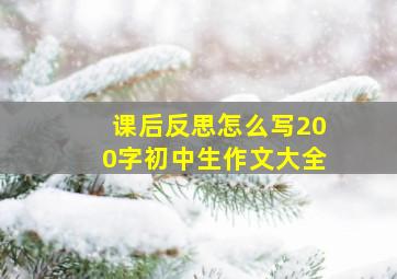 课后反思怎么写200字初中生作文大全