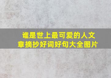 谁是世上最可爱的人文章摘抄好词好句大全图片