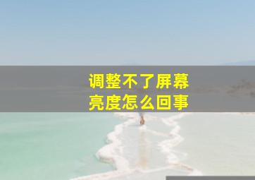 调整不了屏幕亮度怎么回事