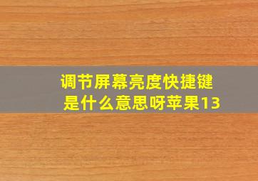 调节屏幕亮度快捷键是什么意思呀苹果13