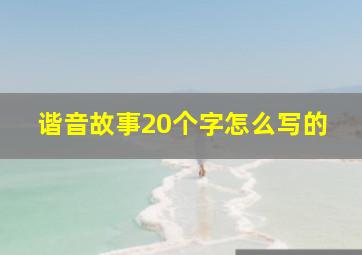 谐音故事20个字怎么写的