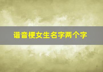 谐音梗女生名字两个字