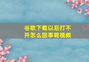 谷歌下载以后打不开怎么回事呢视频