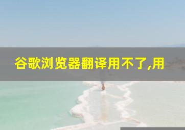 谷歌浏览器翻译用不了,用