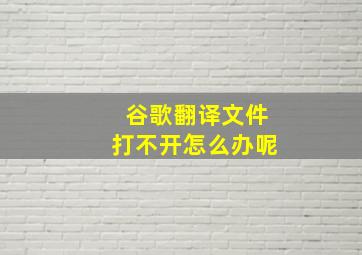 谷歌翻译文件打不开怎么办呢