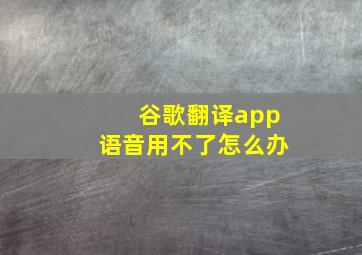 谷歌翻译app语音用不了怎么办