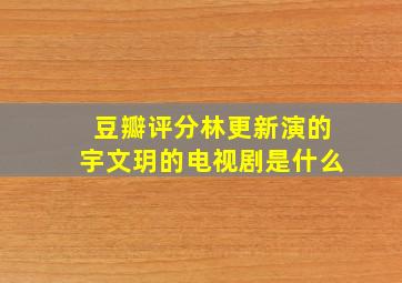 豆瓣评分林更新演的宇文玥的电视剧是什么