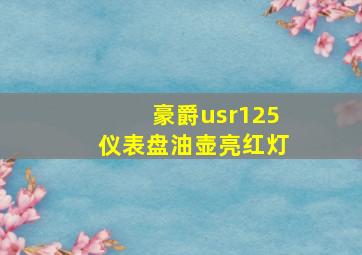 豪爵usr125仪表盘油壶亮红灯