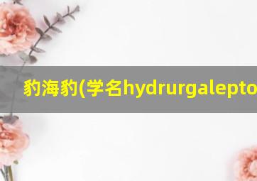 豹海豹(学名hydrurgaleptonyx)