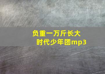 负重一万斤长大时代少年团mp3