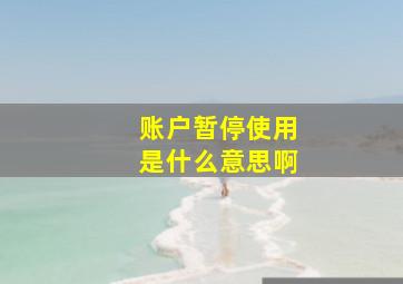 账户暂停使用是什么意思啊