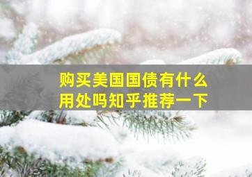 购买美国国债有什么用处吗知乎推荐一下