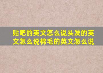 贴吧的英文怎么说头发的英文怎么说棉毛的英文怎么说