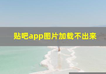 贴吧app图片加载不出来