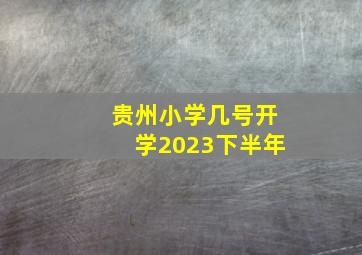 贵州小学几号开学2023下半年