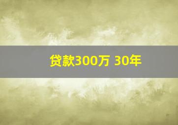 贷款300万 30年