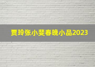 贾玲张小斐春晚小品2023