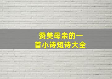 赞美母亲的一首小诗短诗大全