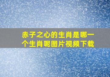 赤子之心的生肖是哪一个生肖呢图片视频下载