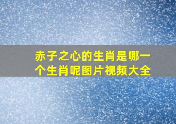 赤子之心的生肖是哪一个生肖呢图片视频大全