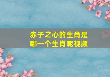 赤子之心的生肖是哪一个生肖呢视频