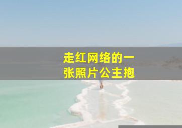 走红网络的一张照片公主抱