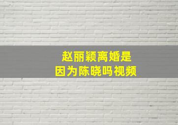 赵丽颖离婚是因为陈晓吗视频