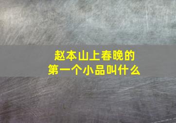 赵本山上春晚的第一个小品叫什么