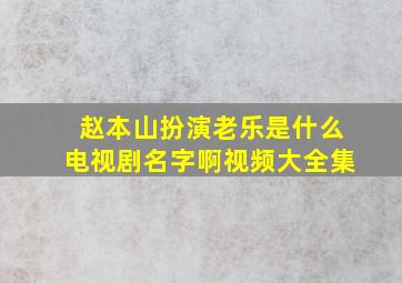 赵本山扮演老乐是什么电视剧名字啊视频大全集