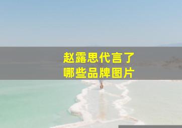 赵露思代言了哪些品牌图片