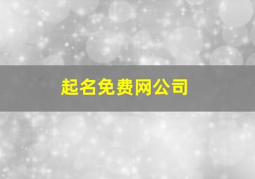 起名免费网公司