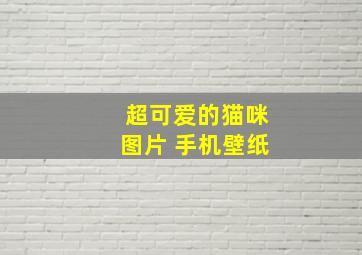 超可爱的猫咪图片 手机壁纸