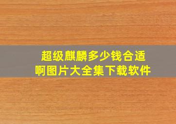 超级麒麟多少钱合适啊图片大全集下载软件