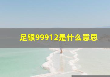 足银99912是什么意思