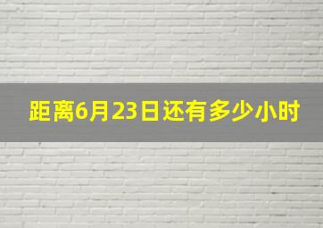 距离6月23日还有多少小时