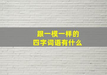 跟一模一样的四字词语有什么