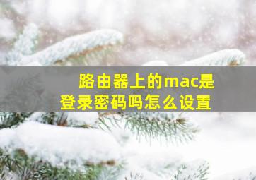 路由器上的mac是登录密码吗怎么设置