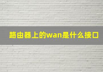 路由器上的wan是什么接口