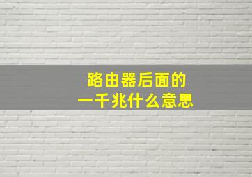 路由器后面的一千兆什么意思