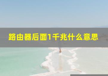 路由器后面1千兆什么意思