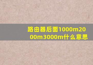 路由器后面1000m2000m3000m什么意思