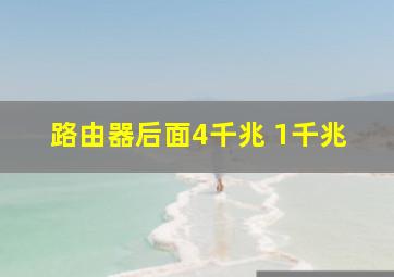 路由器后面4千兆 1千兆