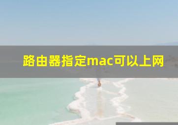 路由器指定mac可以上网