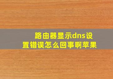 路由器显示dns设置错误怎么回事啊苹果