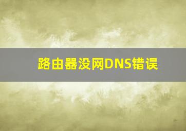 路由器没网DNS错误