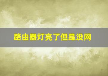 路由器灯亮了但是没网